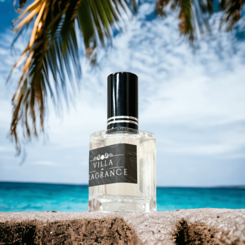 PhotoRoom-20250125_180137